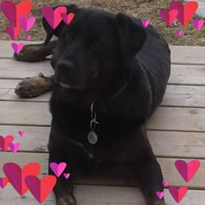 Meet your Posher, Doris